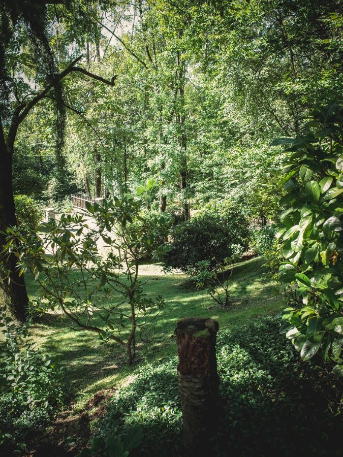 Corte Di Cavne' Villa Miazzina Dış mekan fotoğraf